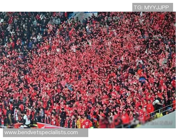 南京足球队团队协作引发热议球迷对战术配合的不同看法与争论