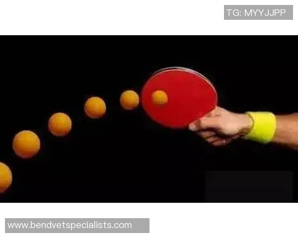 张丽独家揭秘乒乓球技巧与心得分享助你提升球技的秘诀