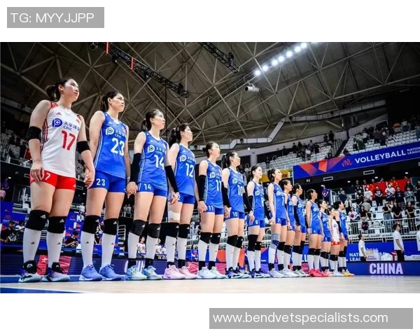 排球意识排行榜揭晓上海排球队荣登第五名位置引发关注