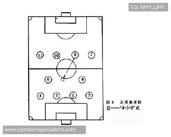 武汉足球队快攻战术深度解析与实战应用探讨