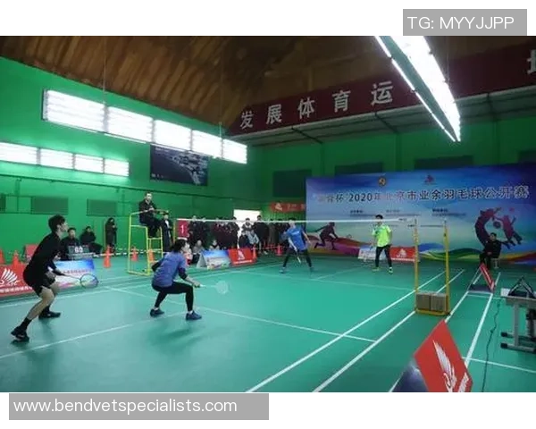 深入分析北京羽毛球队盯防战术的特点与应用策略