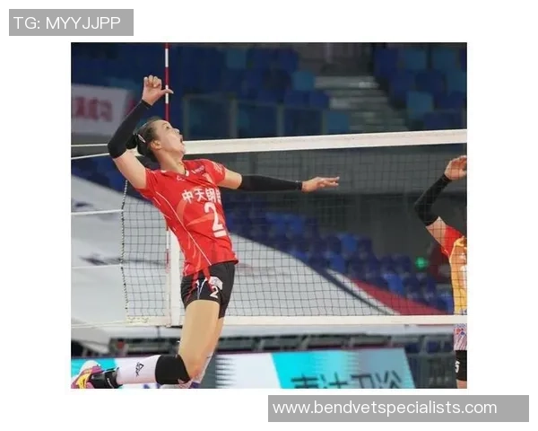 深圳排球队中路突破的优势与不足分析及未来发展方向探讨