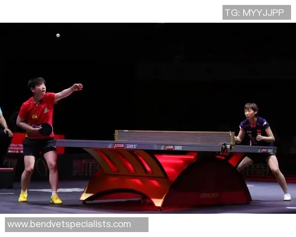 深圳乒乓球队实力分析与表现评估：数据背后的故事与启示