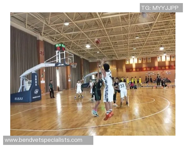 深圳篮球队的崛起之路：从默默无闻到杯赛争冠的成长历程