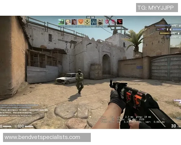 CS_GO评论：IG的包夹得失_1