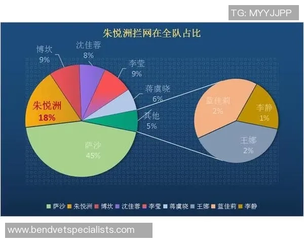 数据分析：西安排球队的个人能力表现