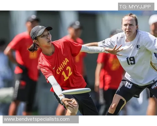 热议飞盘：重庆飞盘队的耐力变革