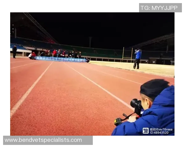 陈磊独家：分享网球心得