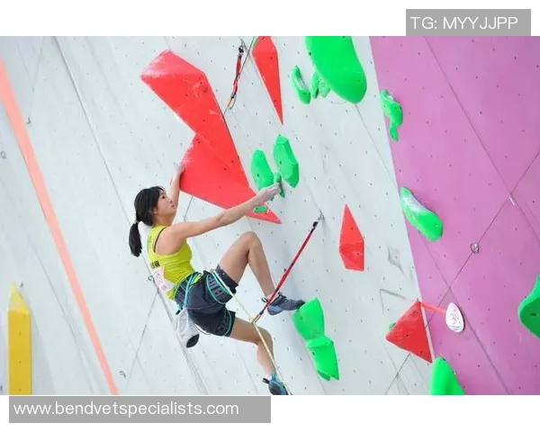 专业解读:武汉攀岩队的控制打法