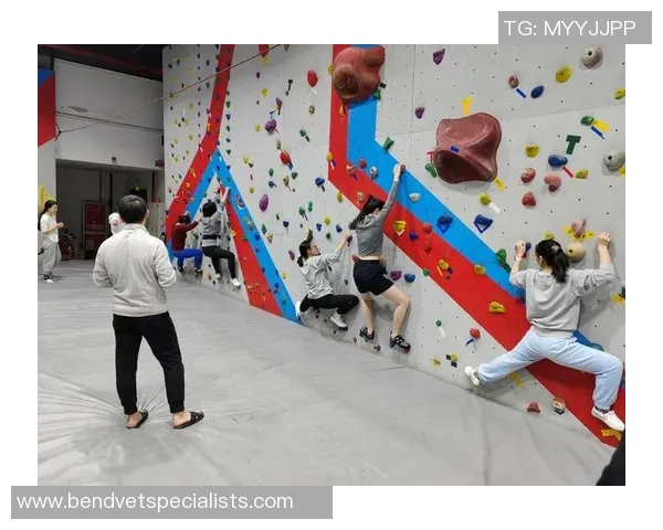 攀岩热议：北京攀岩队的技术争议