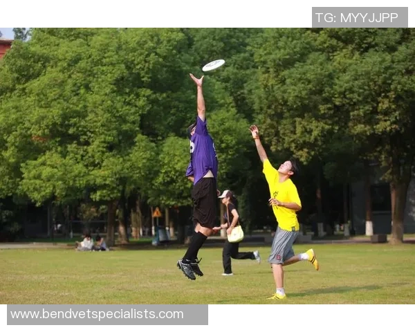 热议飞盘：上海飞盘队的技术变革