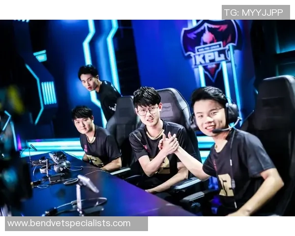 王者荣耀巨献:探秘RNG的力量