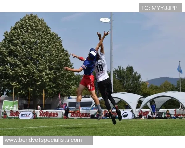 赛后复盘:武汉飞盘队 vs 深圳飞盘队的团队协作