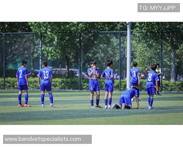 足球评论：南京足球队的包夹得失